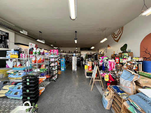 Pet Supply Store «The Animal Connection», reviews and photos, 2550 2550 Judah St & 31st Ave, San Francisco, CA 94122, USA