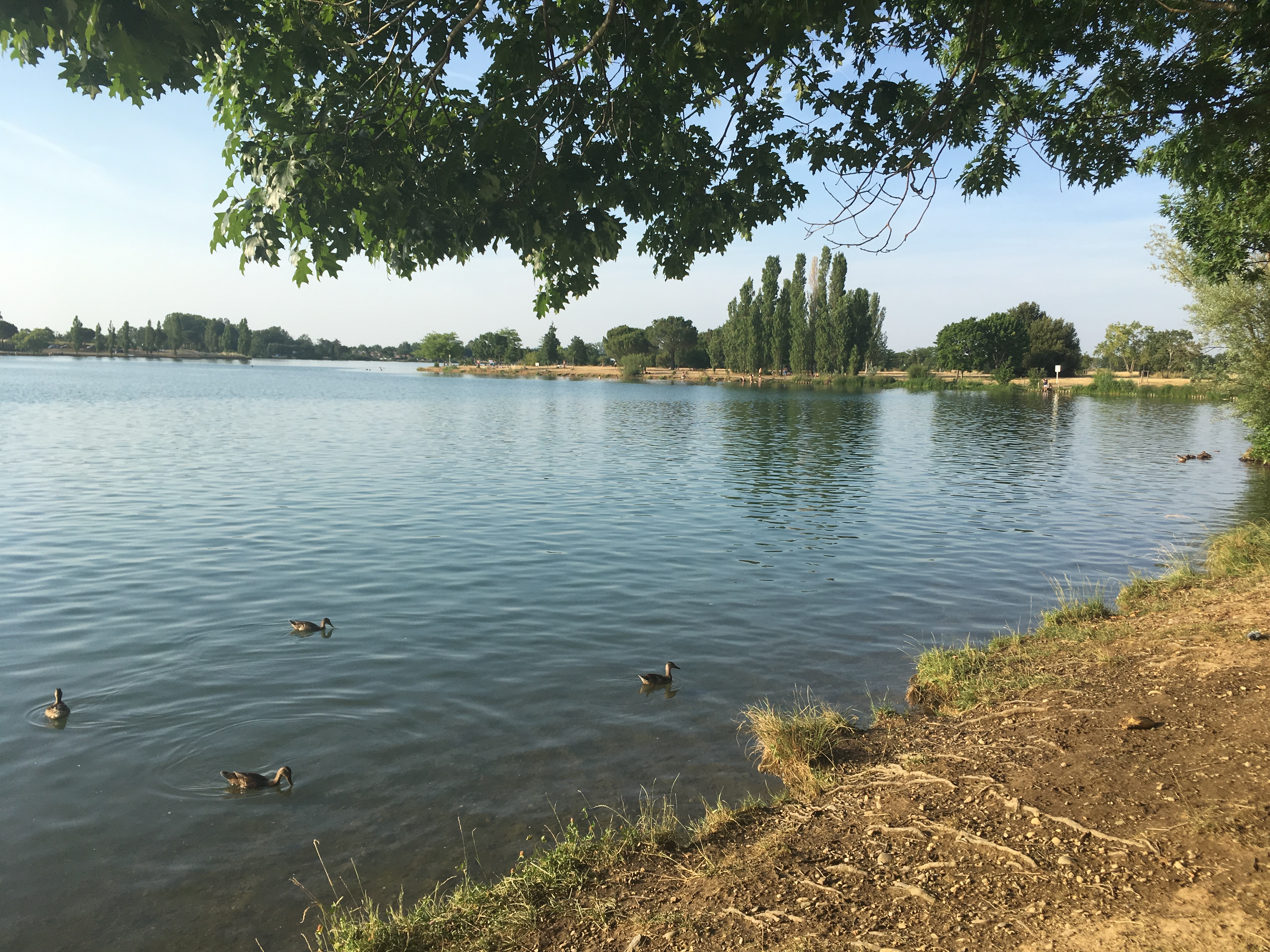 Photo n° 3 de l'avis de Nelly.A fait le 27/11/2019 à 17:37