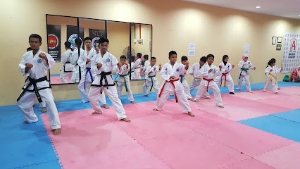 Iron Fist Taekwondo Academy