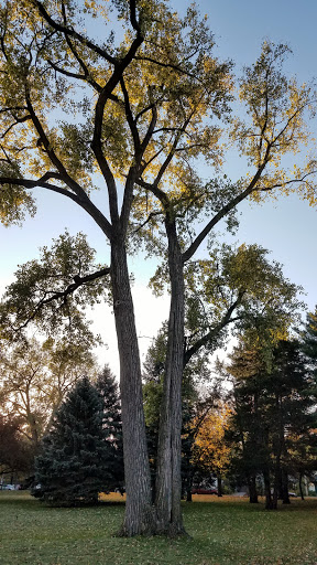 Park «Langford Park», reviews and photos, 30 Langford Park, St Paul, MN 55108, USA