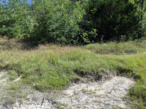 Park «Gateway Park», reviews and photos, 2500 N Jim Miller Rd, Dallas, TX 75227, USA