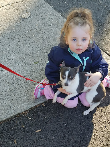 Park «Bingham Park», reviews and photos, 160 Coral Ave, Louisville, KY 40206, USA