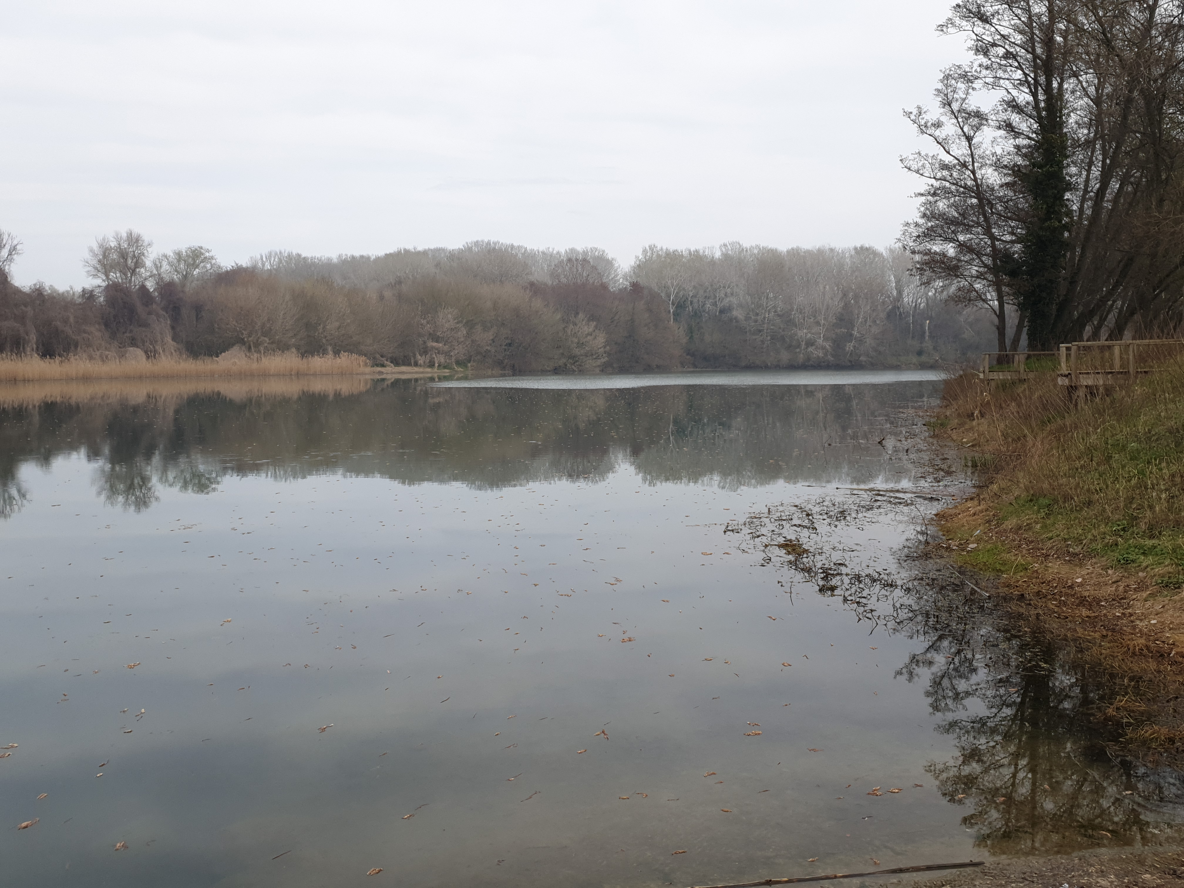 Photo n° 2 de l'avis de Dietrich.a fait le 10/03/2023 à 13:12