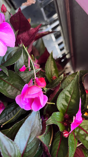 Home Improvement Store «The Home Depot», reviews and photos, 32525 Northwestern Hwy, Farmington Hills, MI 48334, USA