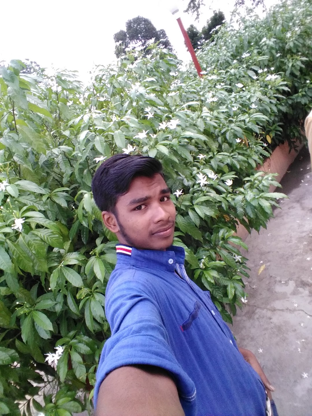 Md Tabark