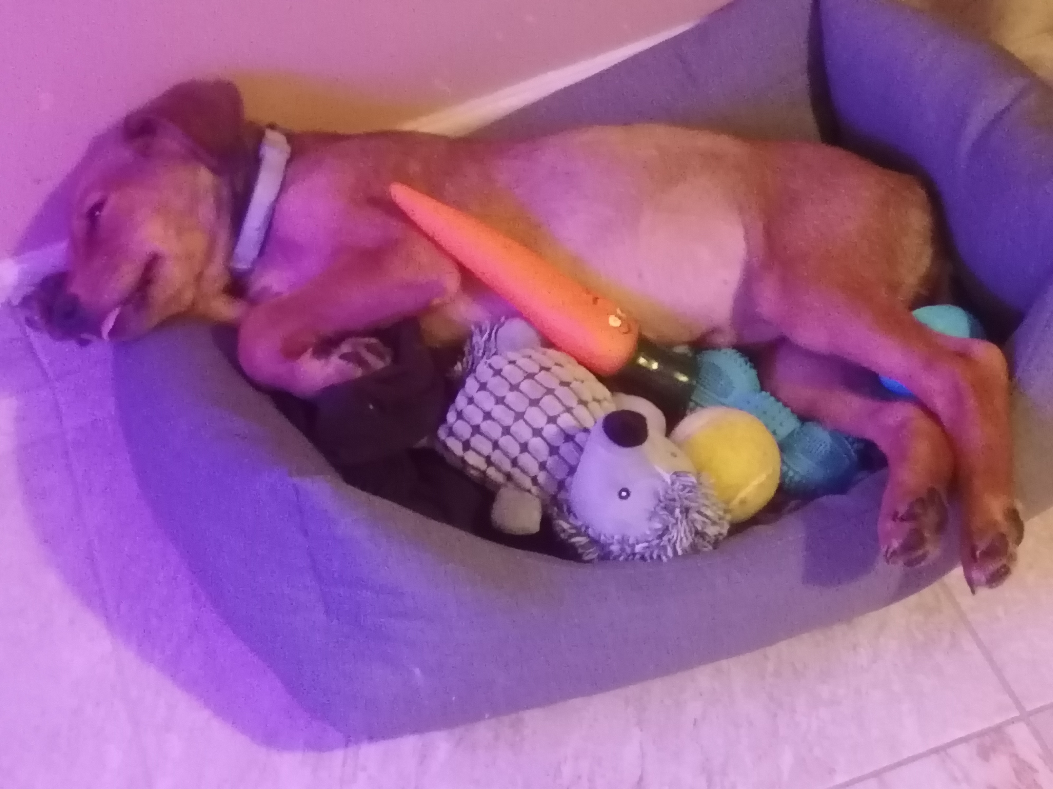 Photo n° 2 de l'avis de céline.o fait le 23/10/2021 à 19:14
