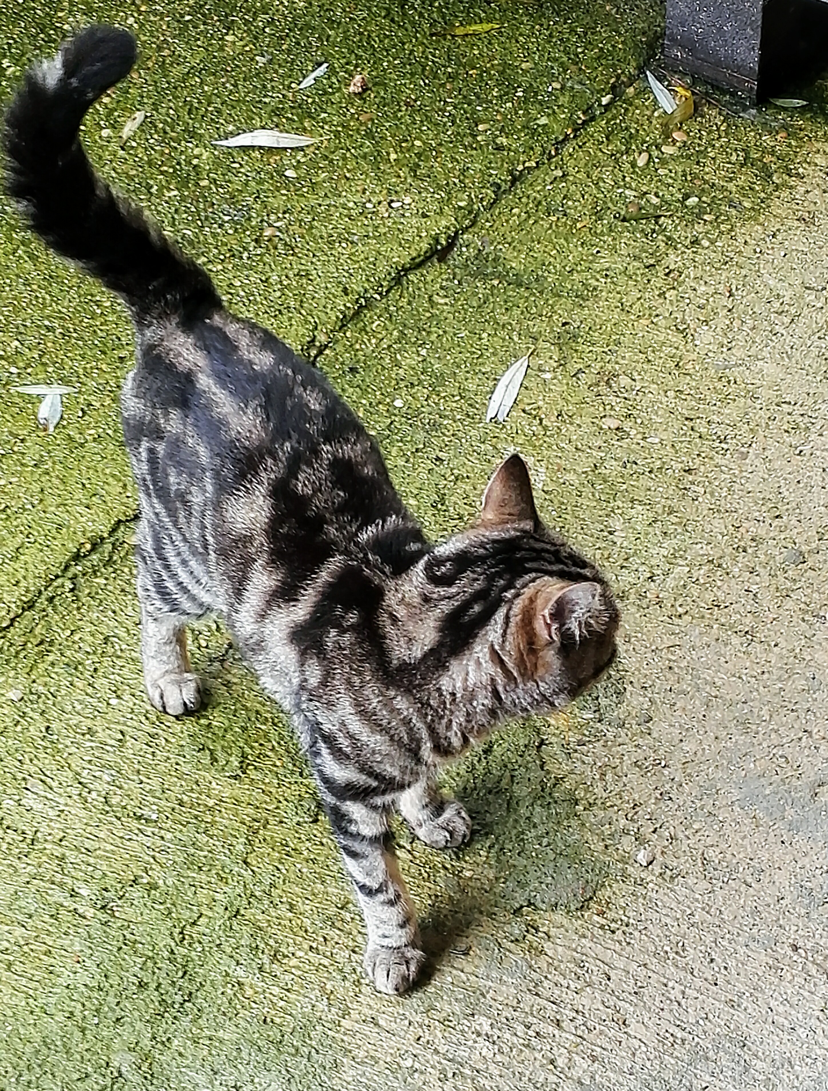 Photo n° 2 de l'avis de Albert.E fait le 01/05/2018 à 04:02