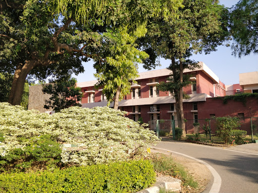 Aravali Hostel Garden