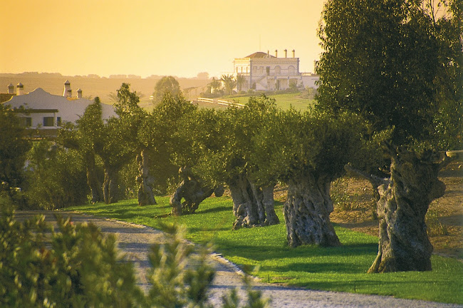 Herdade dos Grous - Beja