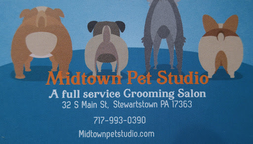 Midtown Pet Studio