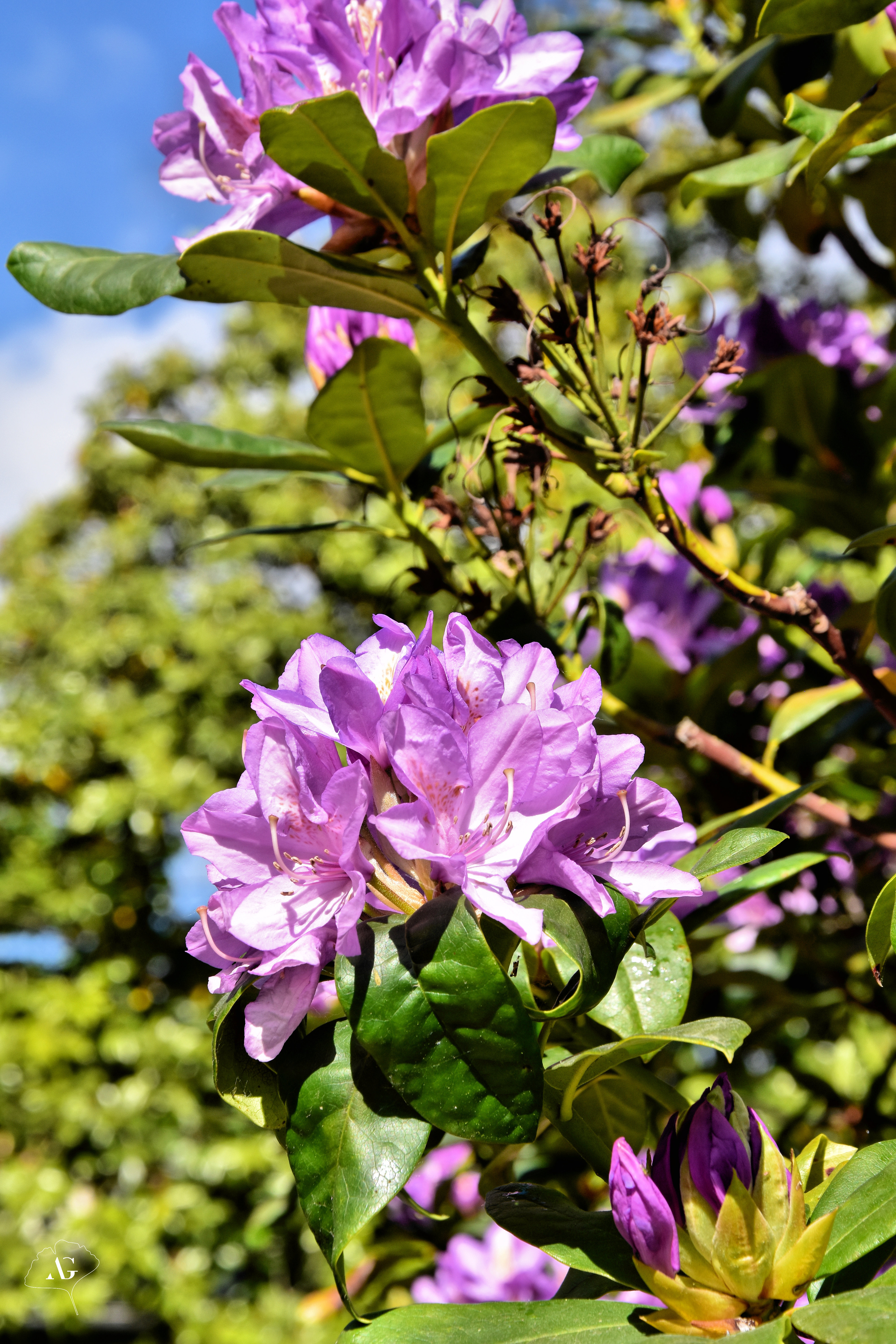 Photo n° 16 de l'avis de Audrey.. fait le 17/05/2022 à 09:49