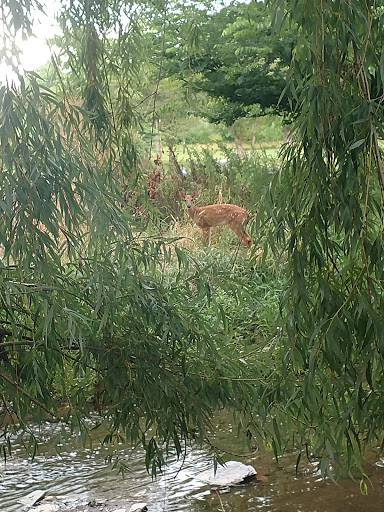 Memorial Park «Veterans Memorial Park», reviews and photos, 7619 Memphis Ave, Brooklyn, OH 44144, USA