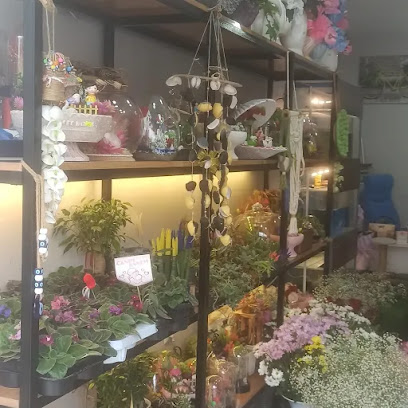 rüyam pet shop &çiçekçilik
