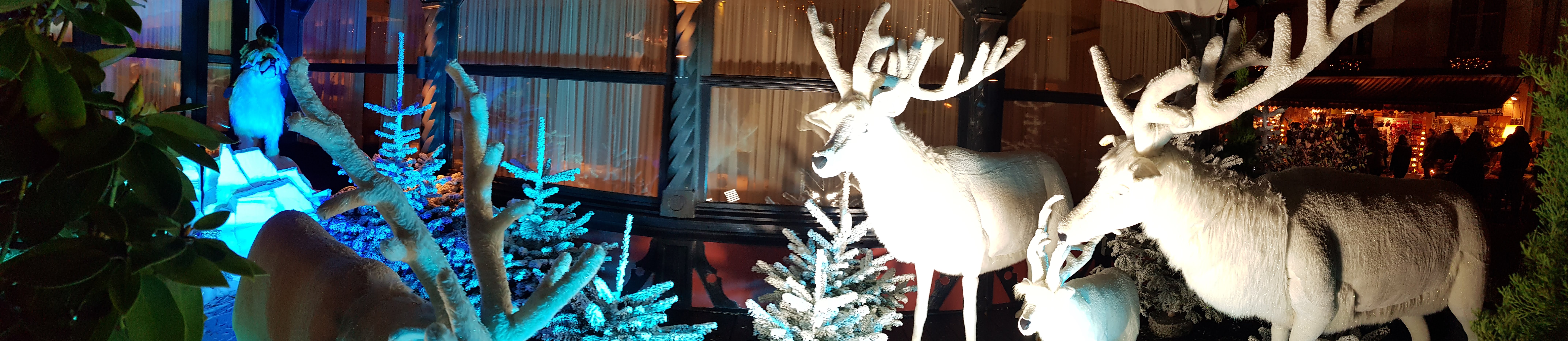 Photo n° 6 de l'avis de The-Fox-Furie.o fait le 22/12/2019 à 16:57