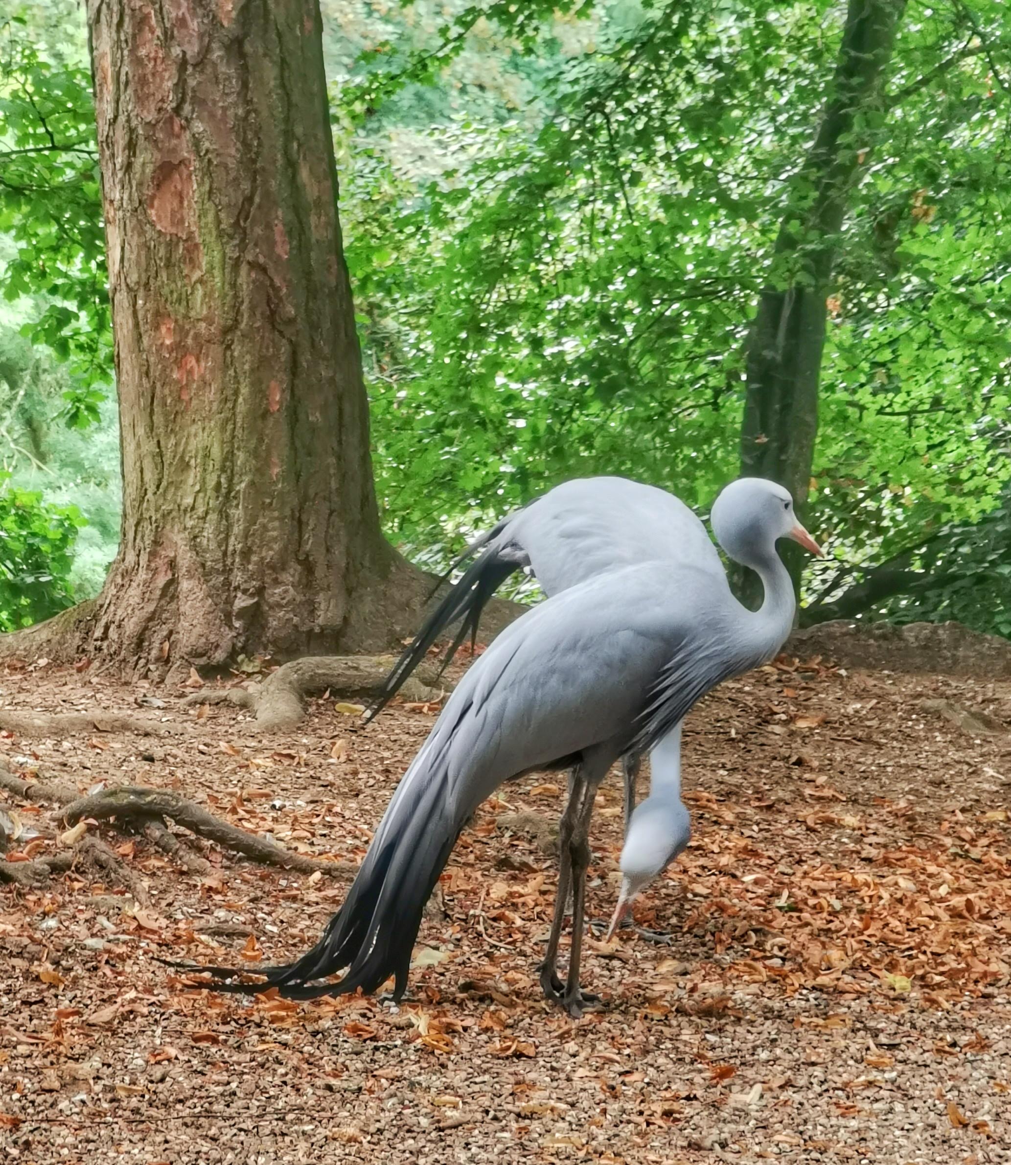 Photo n° 3 de l'avis de Eléonore.i fait le 26/08/2020 à 05:52