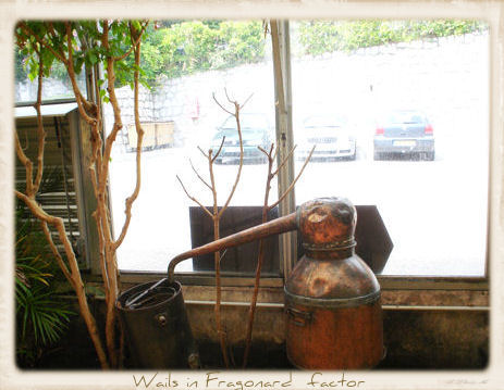 Photo n° 21 de l'avis de L'amore. fait le 19/03/2020 à 09:59