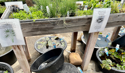 Hardware Store «Payless Hardware, Rockery and Nursery», reviews and photos, 2927 King Rd, San Jose, CA 95122, USA