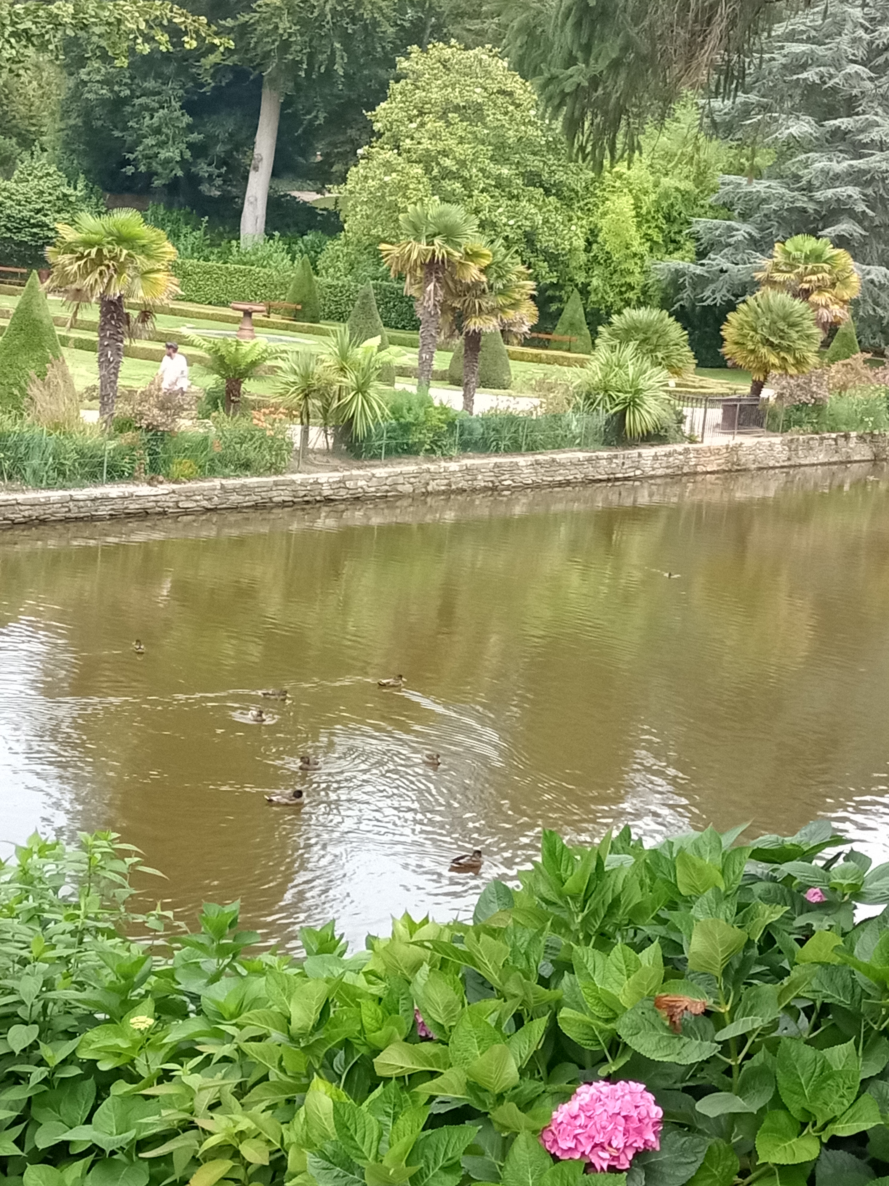 Photo n° 8 de l'avis de Tycha.a fait le 26/08/2021 à 15:44