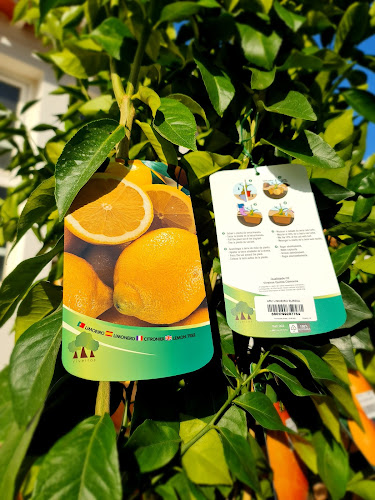 Fertizur Com. E Serviço Agro Ambientais E Jardinagem, Unipessoal, Lda - Agricentro Número de telefone