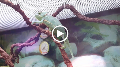 Pet Supply Store «Petco Animal Supplies», reviews and photos, 3426 Highland Ave B, National City, CA 91950, USA