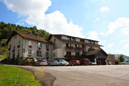 hôtels Hôtel le Chalet des Roches La Bresse