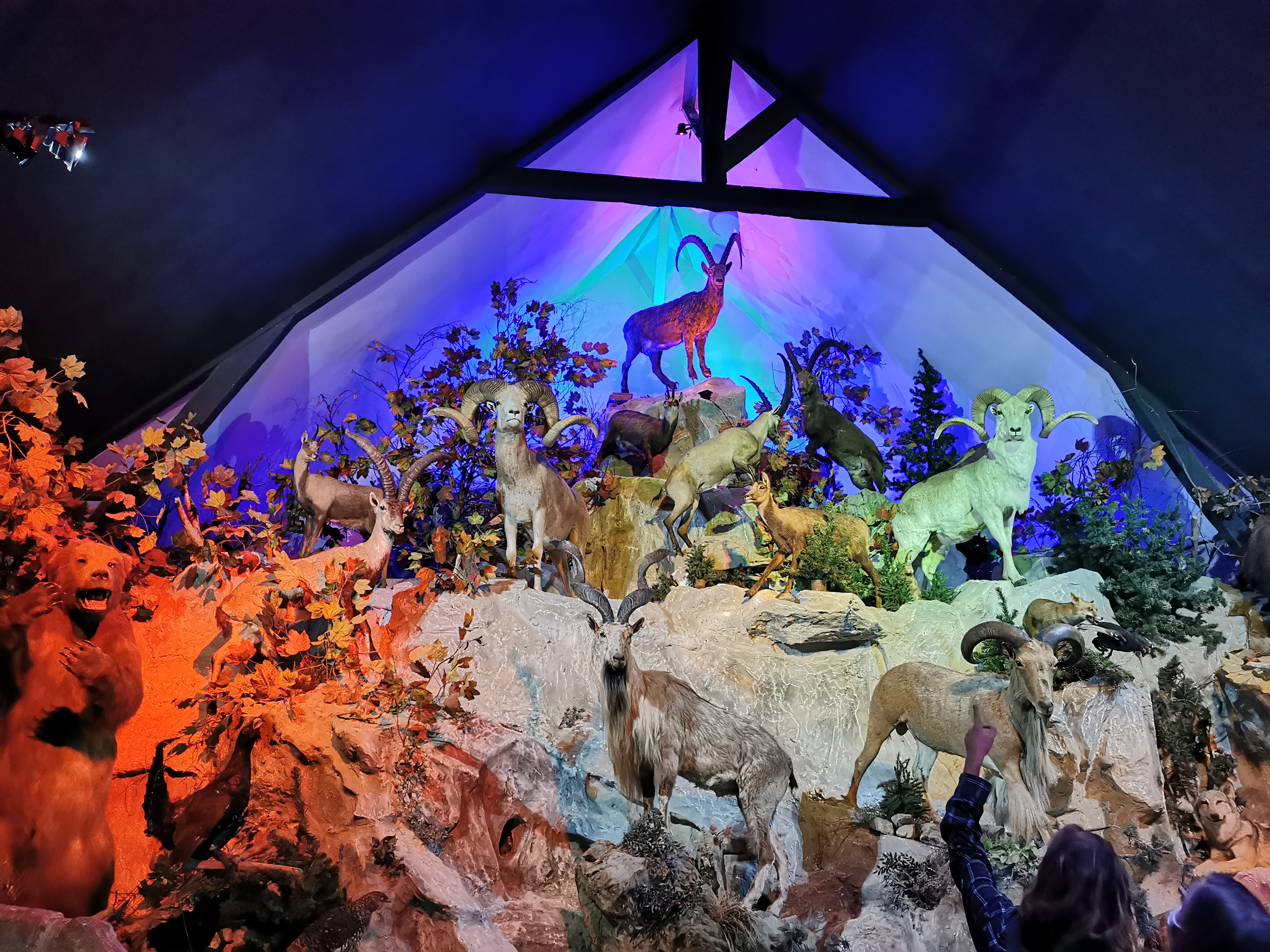 Photo n° 20 de l'avis de Sylvain.i fait le 03/09/2020 à 11:35