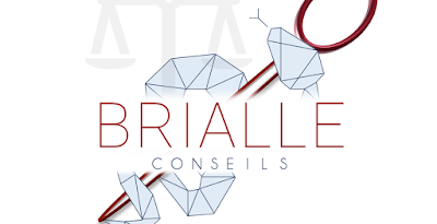 BRIALLE CONSEILS à Farschviller