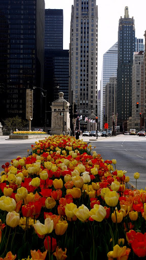 Museum «The Art Institute of Chicago», reviews and photos, 111 S Michigan Ave, Chicago, IL 60603, USA