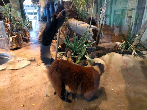 Aquarium «South Carolina Aquarium», reviews and photos, 100 Aquarium Wharf, Charleston, SC 29401, USA