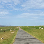 Photo n°2 de l'avis de Rocky. fait le 17/06/2023 à 08:25 sur le  Gästehaus am Herrendeich à Nordstrand