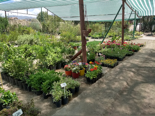 Cursos jardineria Mendoza