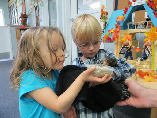 Preschool «Cadence Academy Preschool, Gig Harbor», reviews and photos, 3716 56th St NW, Gig Harbor, WA 98335, USA