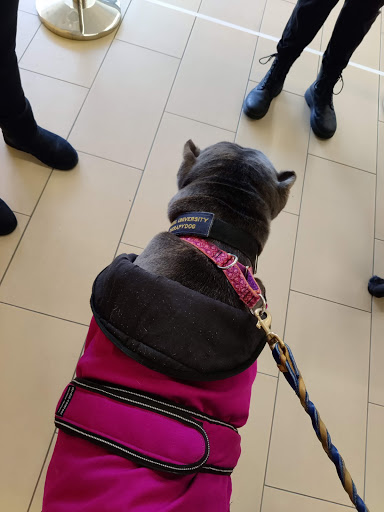 Gym «Drexel Recreation Center and Gym», reviews and photos, 3301 Market St, Philadelphia, PA 19104, USA