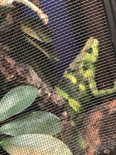 Pet Store «Animal Ark Pet Stores», reviews and photos, 33 Center St, Orem, UT 84057, USA