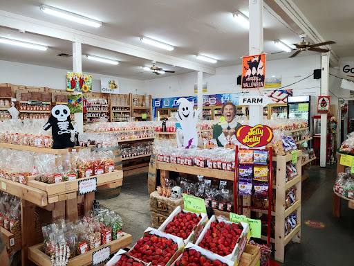 Produce Market «Dixon Fruit Market», reviews and photos, 7808 Batavia Rd, Dixon, CA 95620, USA