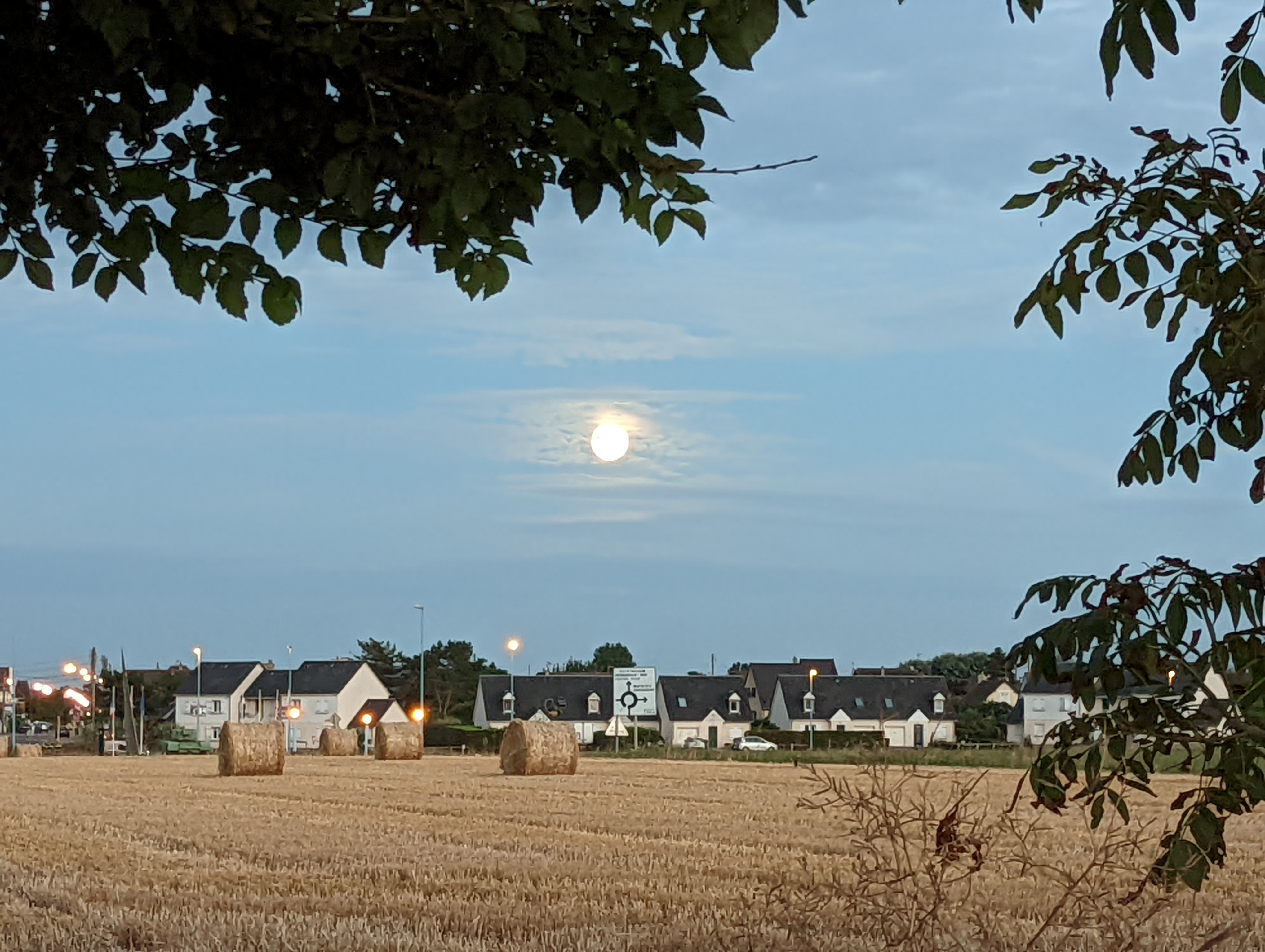 Photo n° 4 de l'avis de juvenal.u fait le 02/08/2022 à 18:05