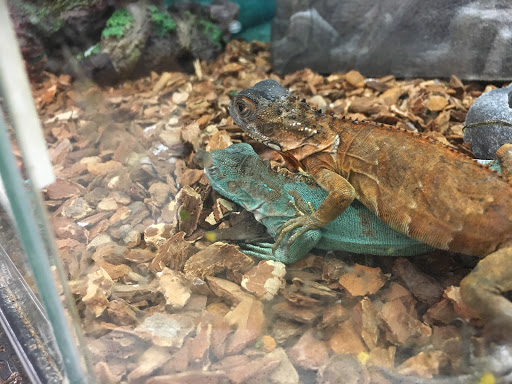 Pet Supply Store «Petco Animal Supplies», reviews and photos, 2230 Marlton Pike W #3, Cherry Hill, NJ 08002, USA