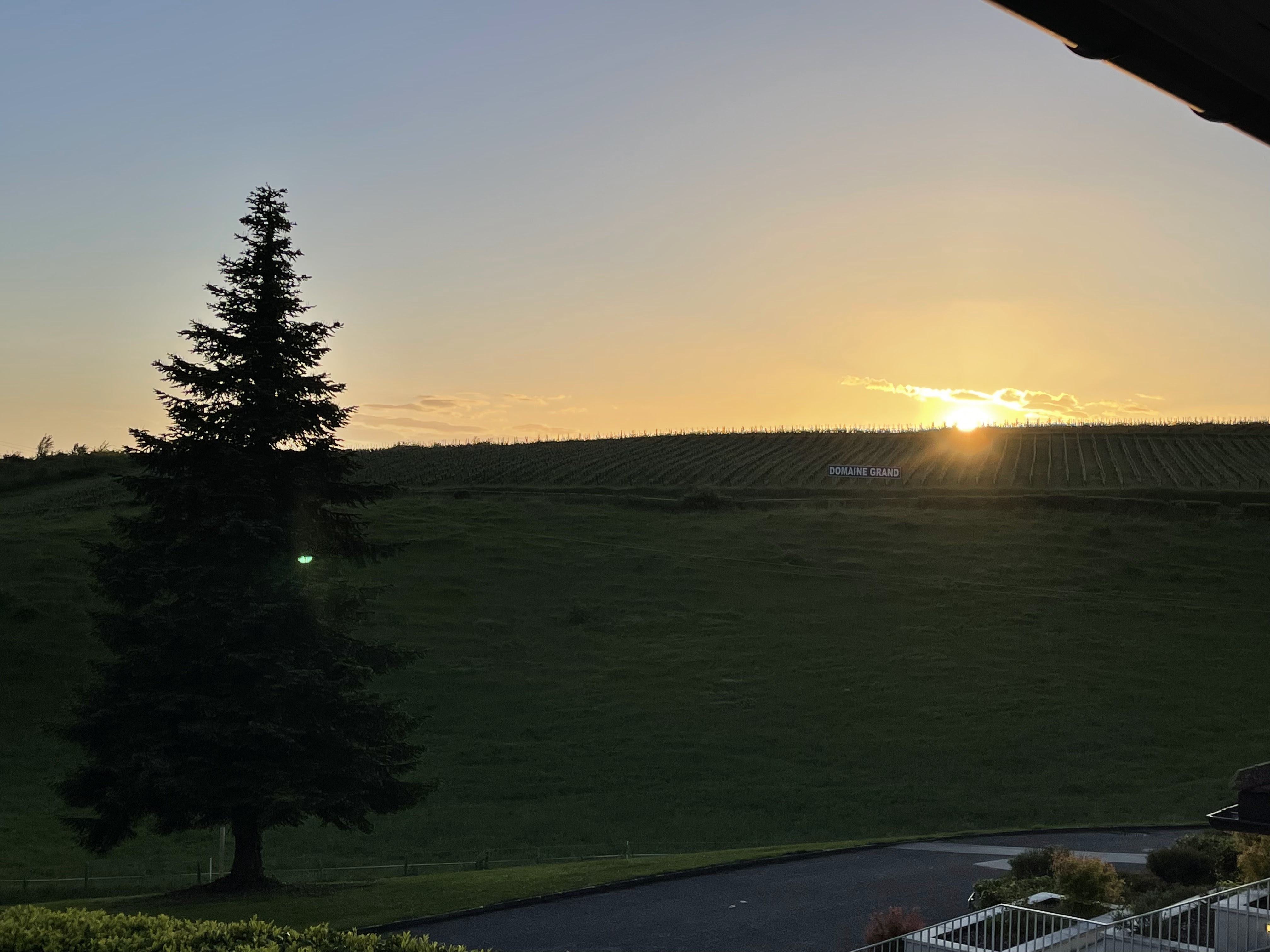 Photo n° 1 de l'avis de Thibaut.a fait le 17/05/2021 à 19:13