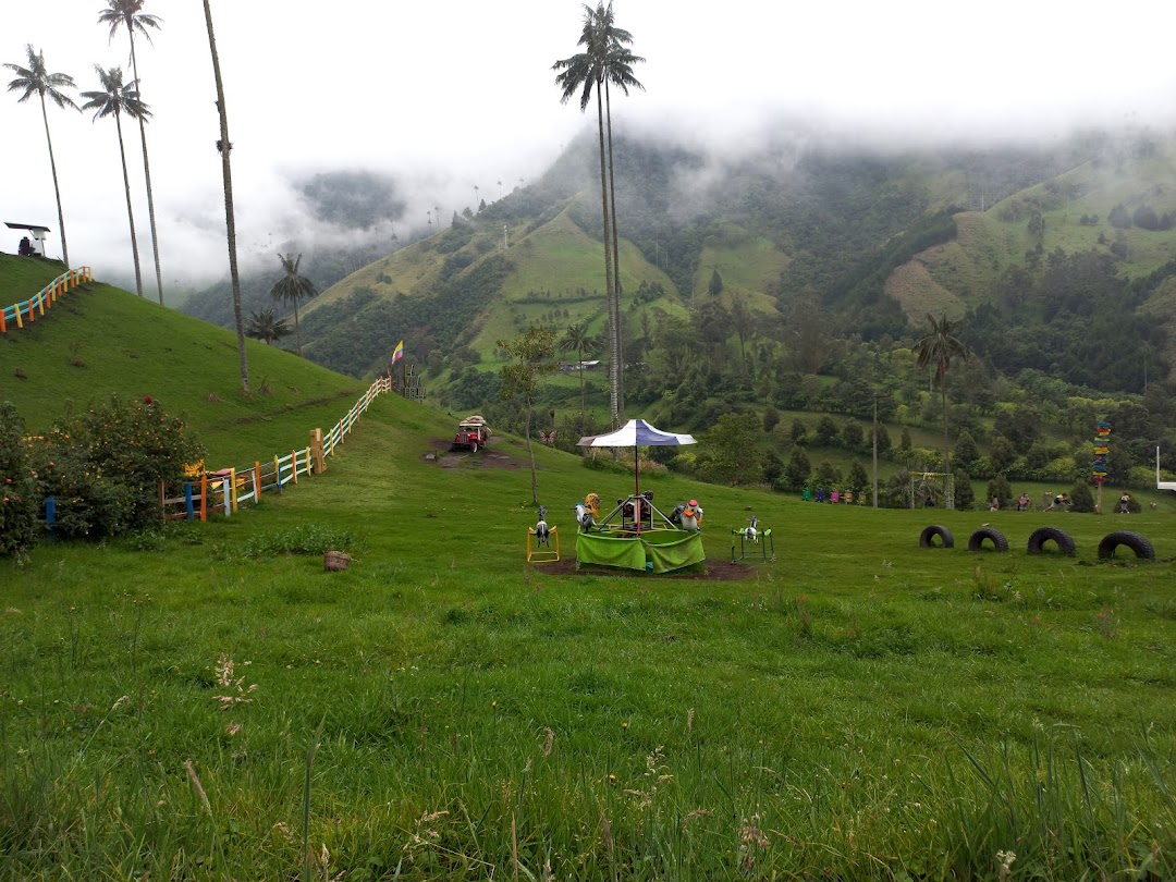 Cocora Valley Trail