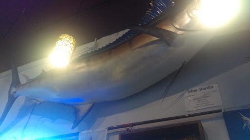 Brewery «Neptunes Brewery», reviews and photos