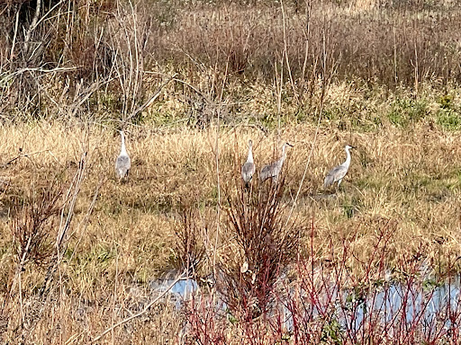 Nature Preserve «Raven Glen Forest Preserve», reviews and photos, 41080 US-45, Antioch, IL 60002, USA