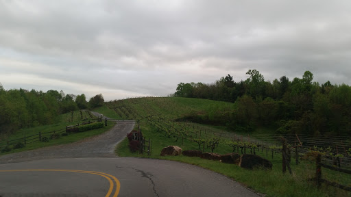 Winery «Valhalla Vineyards», reviews and photos, 6500 Mt Chestnut Rd, Roanoke, VA 24018, USA