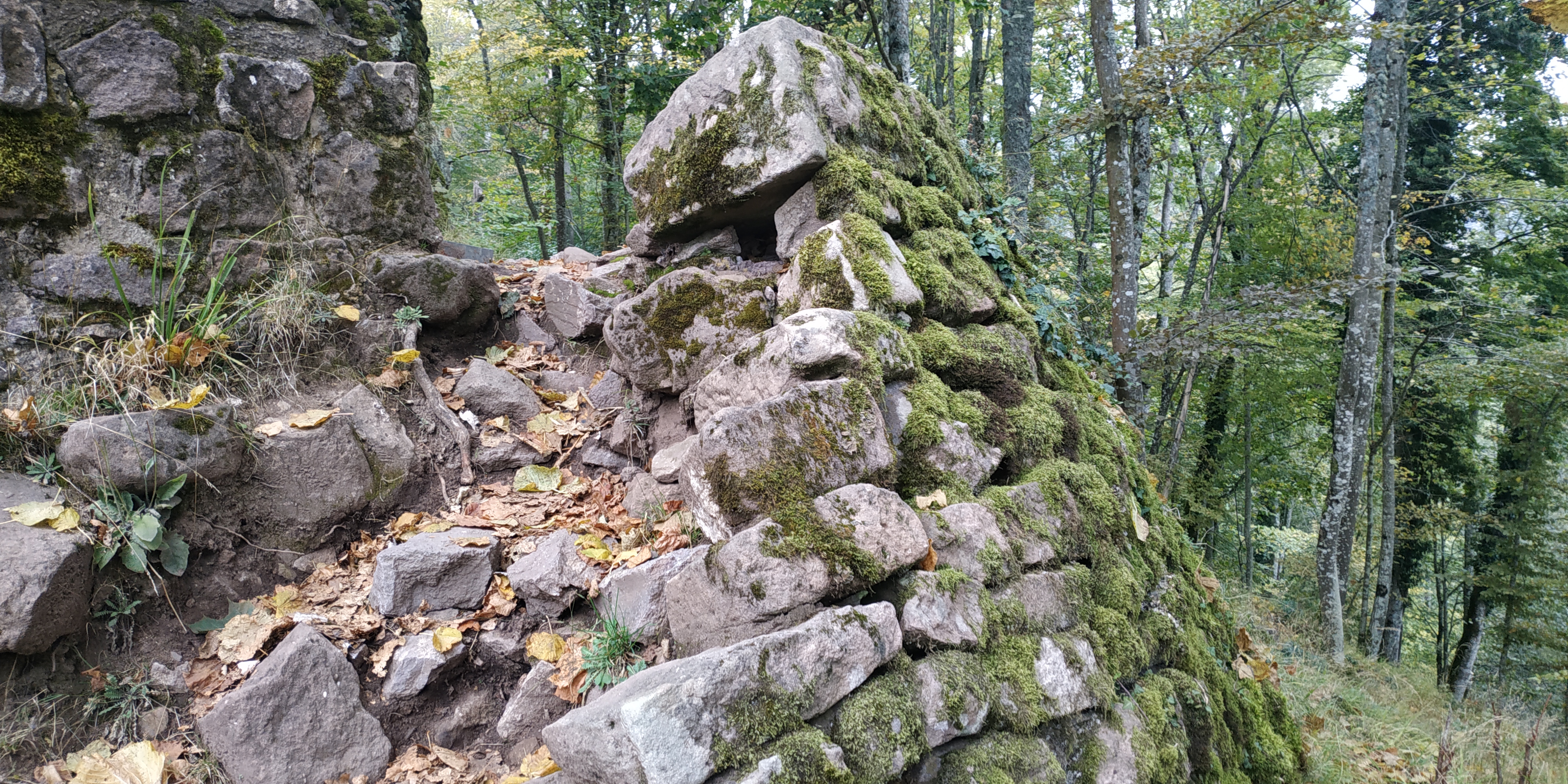 Photo n° 20 de l'avis de Sorti.u fait le 18/10/2021 à 08:32