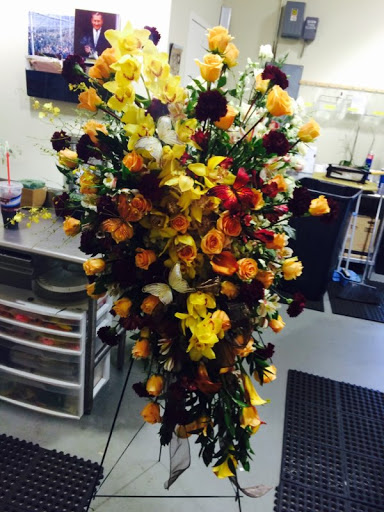Florist «Flower Market», reviews and photos, 5851 Wiles Rd, Coral Springs, FL 33067, USA