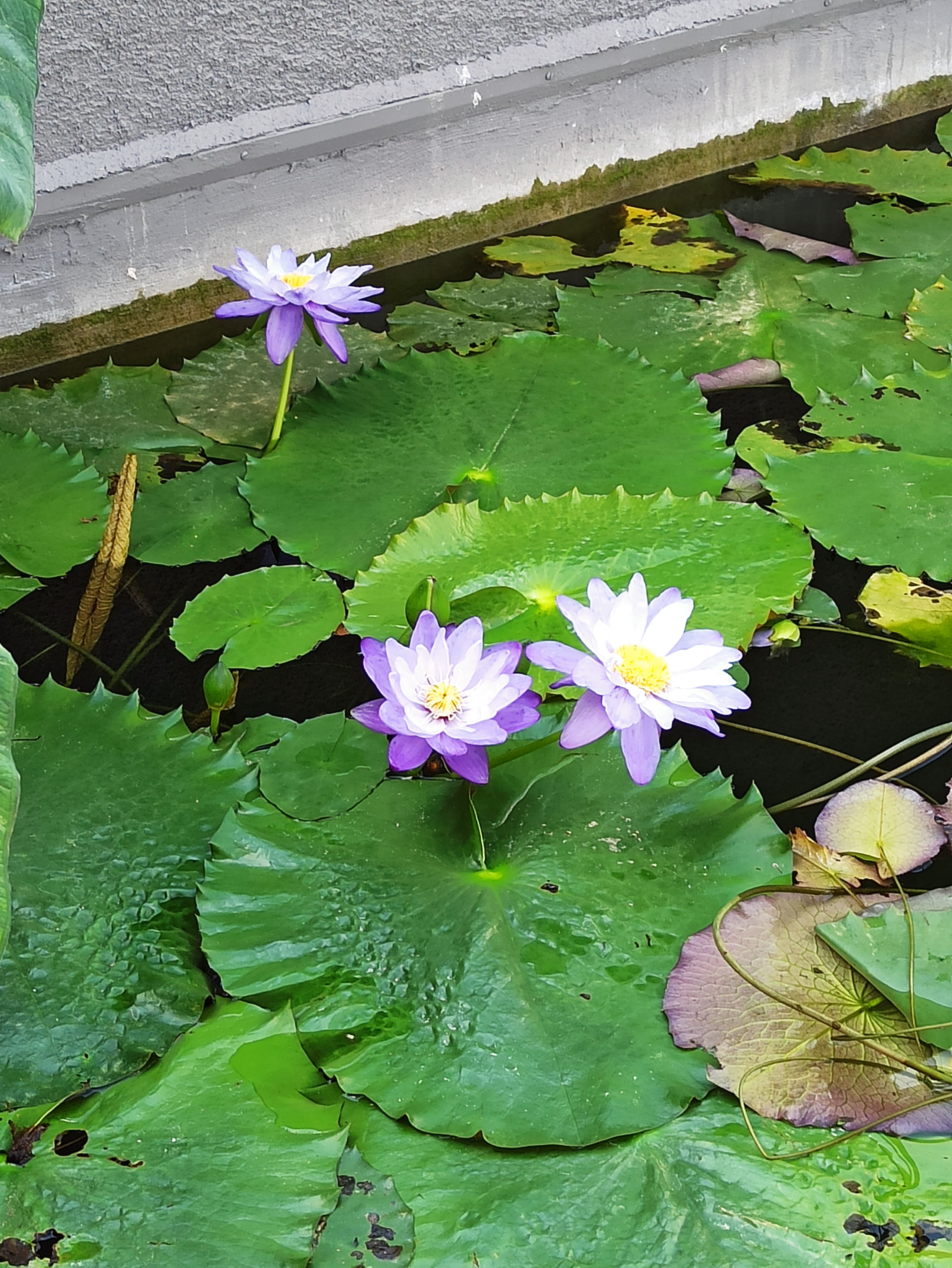 Photo n° 8 de l'avis de Dd.o fait le 22/09/2020 à 13:32