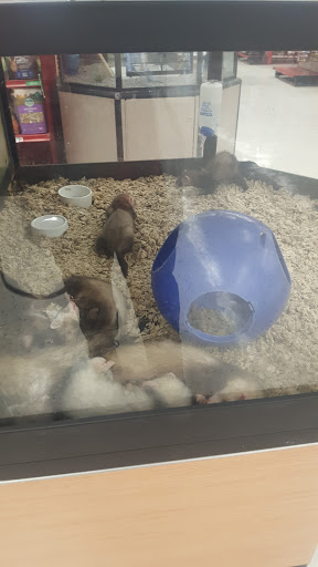 Pet Supply Store «Petco Animal Supplies», reviews and photos, 4915 E 41st St C, Tulsa, OK 74135, USA