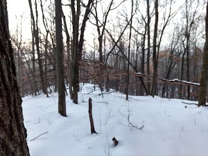 Northwest Park - photo 83
