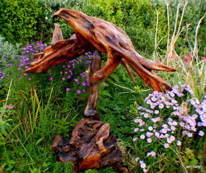 Liam kelly Lakefield Gallery Achill bogwood sculptures