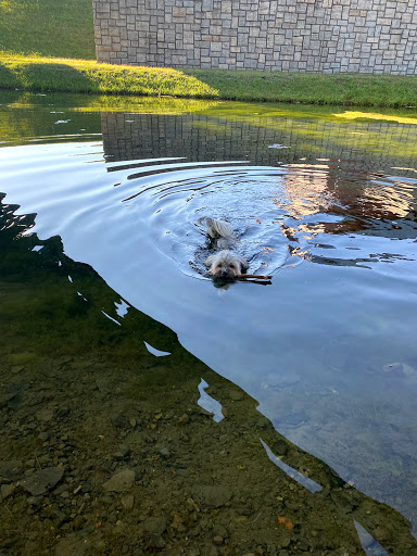 Tourist Attraction «Canal Place», reviews and photos, 13 Canal St, Cumberland, MD 21502, USA