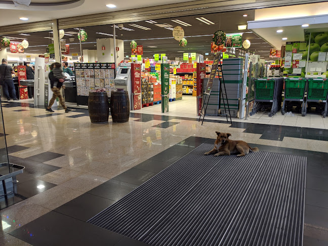 Pingo Doce Super Cancela